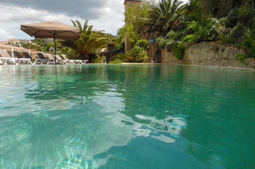 Outdoor pool surrounded by trees, umbrellas and chairs