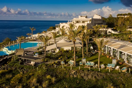 palm trees dotting hotel property