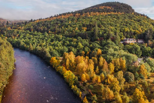 purple river running through green valley