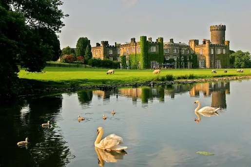 pond with swans outside of stone castle