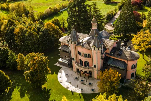 Top view of a castle-like building surrounded by tall trees