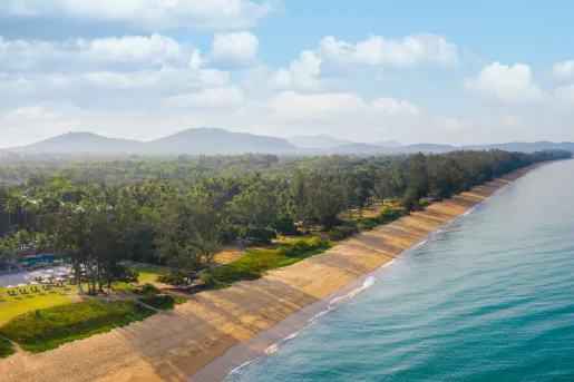 Beach next to a row or trees along the sand