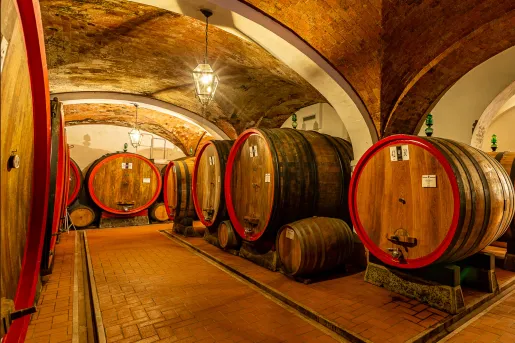 Wine cellar with large barrels in a brick-lined basement