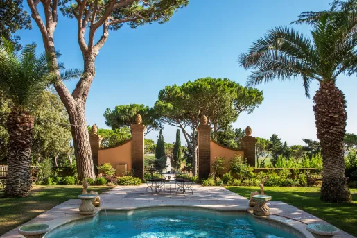 small pool surrounded by gate and trees