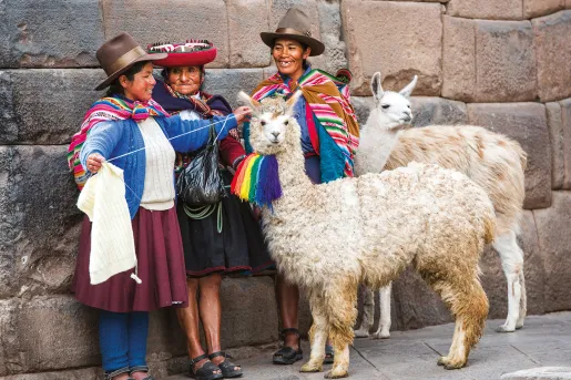 Three women with two alpacas on a leash