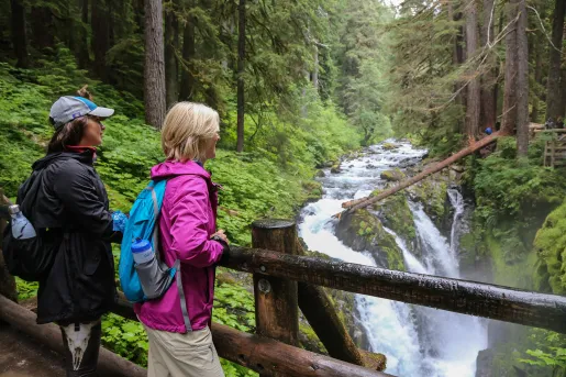Two women standing on a wooden bridge, while looking out to waterfalls in a forest