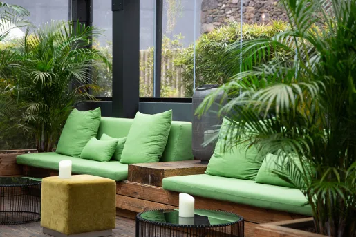 Seating area with green sofas with large windows and plants surrounding