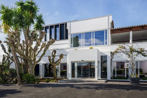 Exterior view of white building with palm trees in front