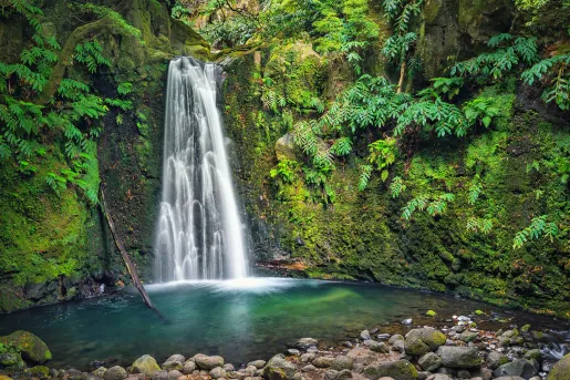 Active waterfall in the middle of a forest, with a pond on the grand floor