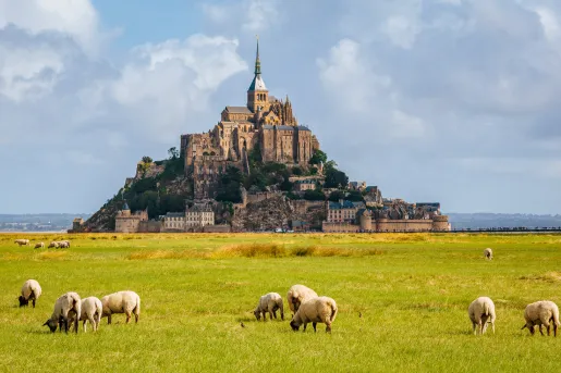 Sheep roaming a large green pasture, in front of a castle on an island