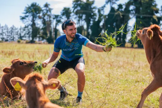 Man feeding grass to three cows