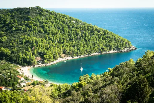 Lake connected to the ocean with tall trees to the left