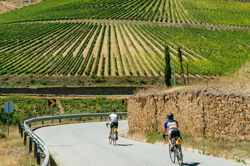 Two people riding bikes on a road with large crop fields in the distance