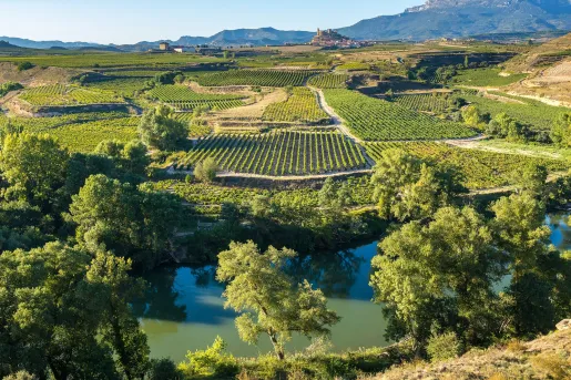 Large valley of crops with a small pond in front