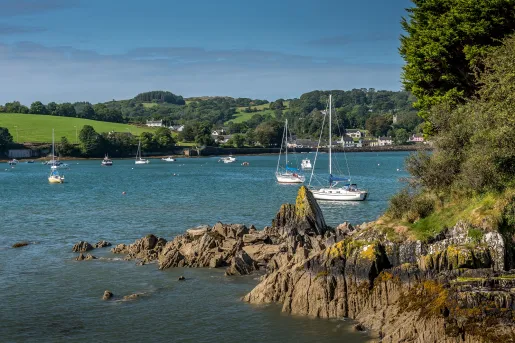 Multiple boats floating in a large lake, with large trees in the distance