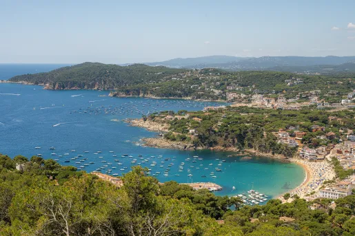 Sky view of a town and a beach with boats floating in the water