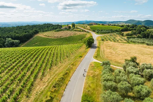 Two people riding bikes on an empty road, surrounding by crop fields