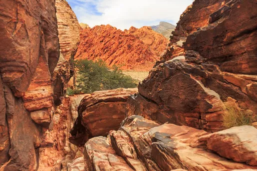 Red canyons in the middle of a valley