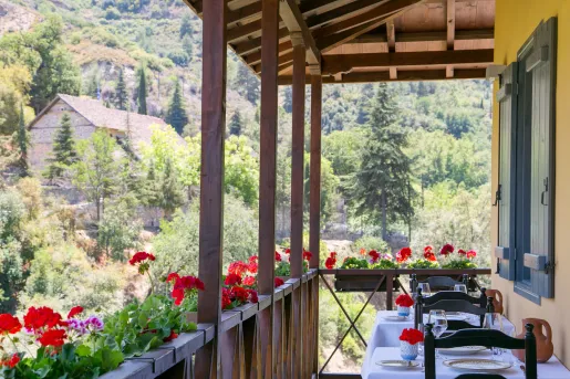 Outdoor patio with dining tables and roses along a wooden balcony