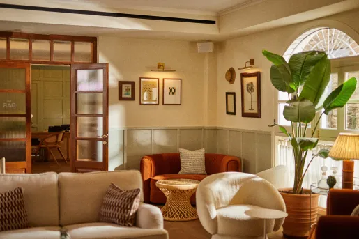 Room and lounge with cushioned sofas and plants along the room