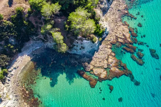Sky view of a beach shore with trees and large cliffs