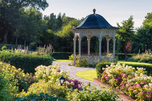 Garden with white and pink flowers 