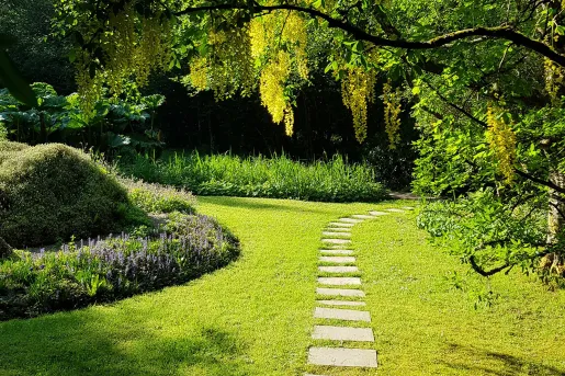 Grass backyard garden with stone pathways and large trees