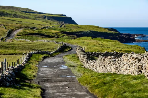 Dirt trail surrounded by grassy fields with the ocean to the right