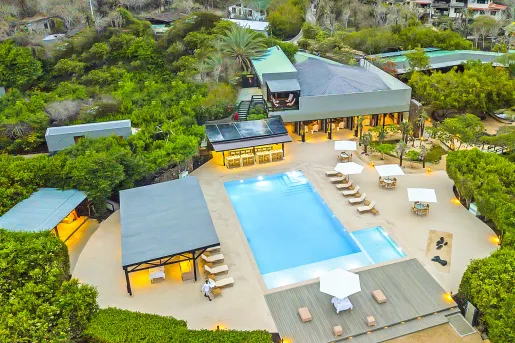 Sky view of an outdoor pool surrounded by hotel buildings and thick trees