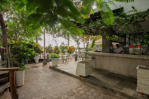 Outdoor garden and patio with a bar counter to the right