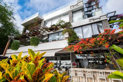 Exterior view of white hotel building, with plants and flowers along the walls