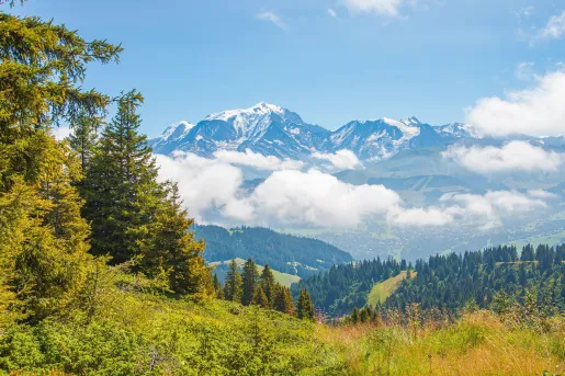Large grassy hill with mountains and more mountains in the distance