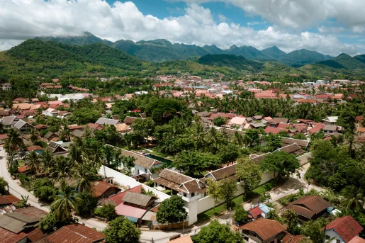 Sky view of town with tall trees within