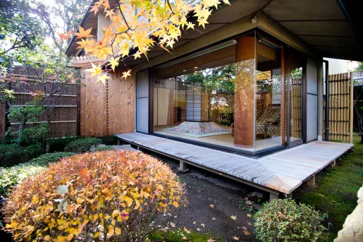Exterior view of building with large windows, surrounded by plants and leaves