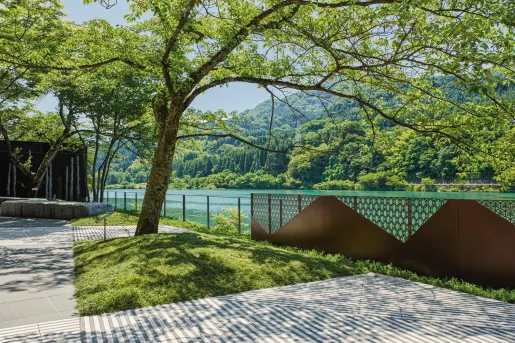 Large trees surrounding a large river