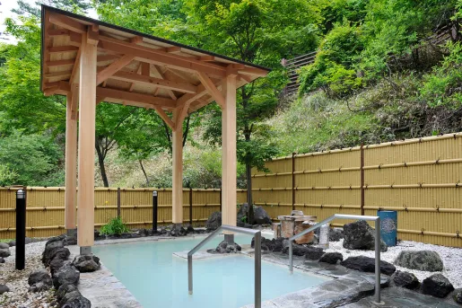 Outdoor hot bath, with stones and a forest surrounding the area