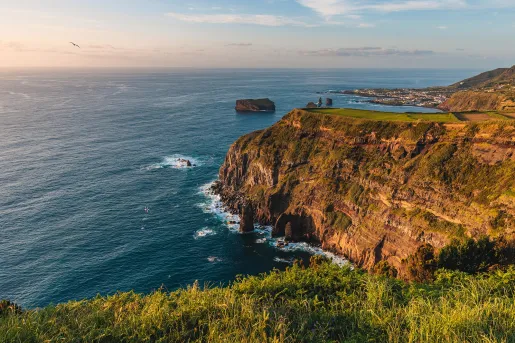 Grassy cliff overlooking the ocean