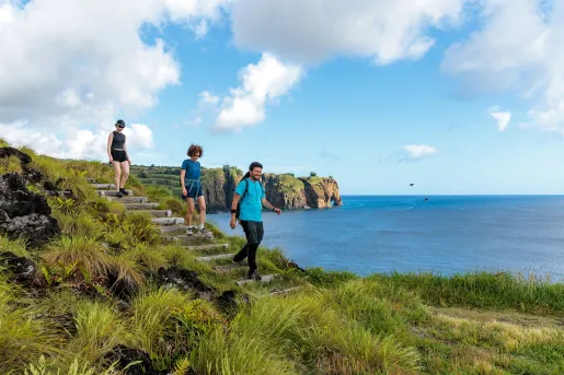 Group of people descending stairs in a grassy field, with the ocean in the background