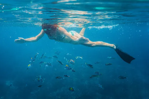 Woman snorkeling in the ocean, with a sea of fish underneath