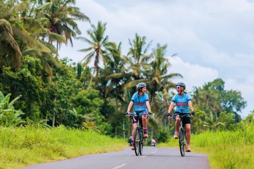 Two people riding bikes on an empty road surrounded by palm trees