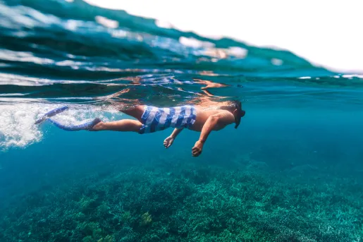 Man swimming in the ocean, looking at a coral reef underneath