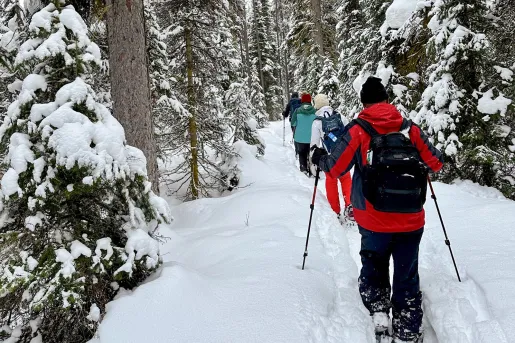 Group of people snowshoeing in the middle of a snowy forest