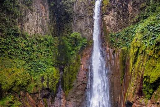 Waterfall in the middle of a forest with tall cliffs