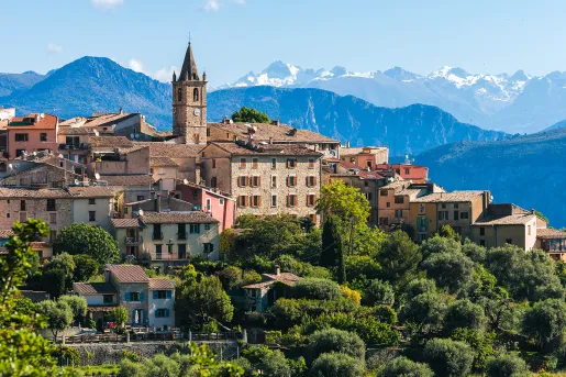 Rustic, European town buildings surrounded by tall trees