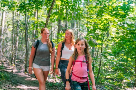 Group of two women and one child walking through a forest with tall, green trees