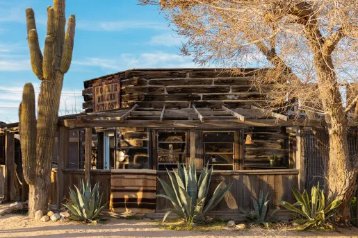 Exterior view of wooden saloon-style building with a large cactus in front