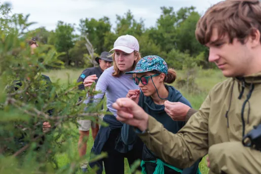 Group of people looking at a plant in the middle of a large valley