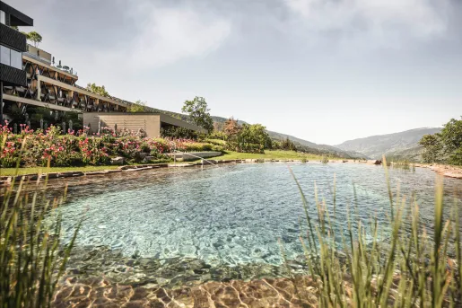 Outdoor pool surrounded by plants and red flowers, with large mountains in the distance