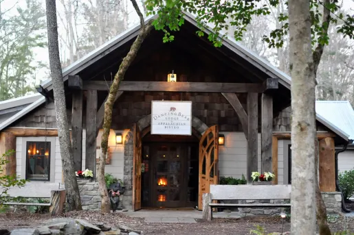 Exterior view of wooden cabin building with skinny trees in front
