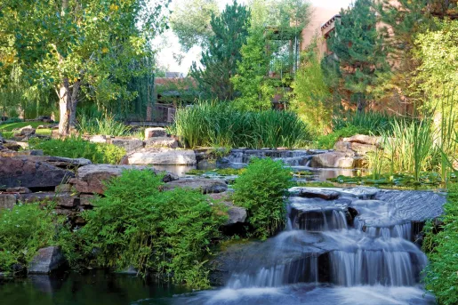Outdoor garden with a small pond and waterfall